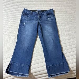 Democracy Kick Flare Cropped Jeans